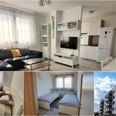 Apartment Mrvica Near The Zagreb Airport Velika Gorica Exteriör bild
